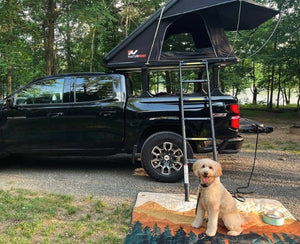 Camping With Dogs: Why Rooftop Tent Adventures Are Better Together