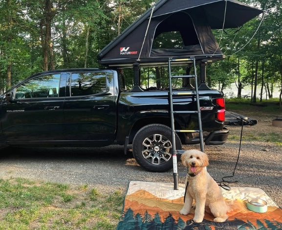 Camping With Dogs: Why Rooftop Tent Adventures Are Better Together