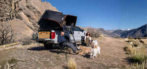 Find Your Perfect Aluminum Hard Shell Roof Top Tent