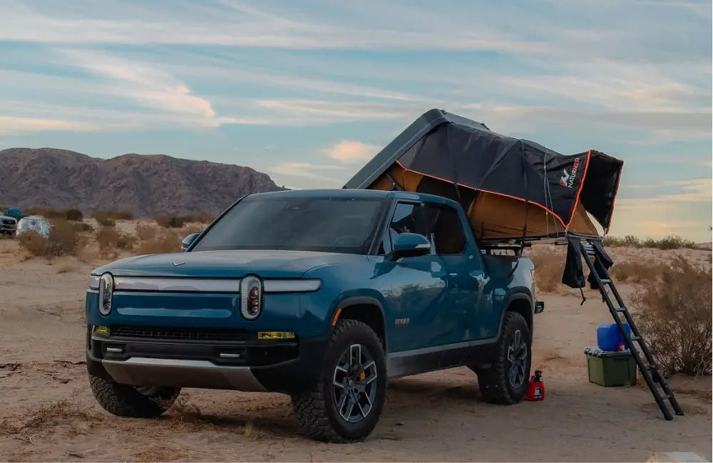 Describes the appearance of the image